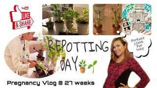 Repotting House Plants / Pregnancy Vlog / Sheryl Squad