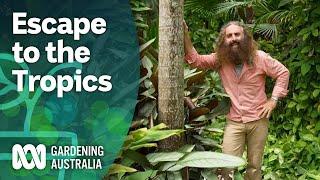 Escape To The Tropics | Discovery | Gardening Australia