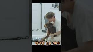 '전밤' 사람같아ㅡ알아듣는건가? 칭찬하는 BTS