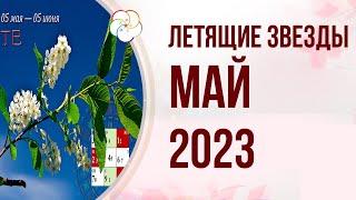 ФЭНШУЙ 2023: Прогноз по Летящим Звездам на МАЙ 2023