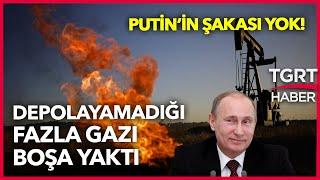 Her gün 10 Milyar Dolarlık İmha! Rusya, Almanya'ya Satmadığı Doğalgazı Boşa Yakıyor - TGRT Haber