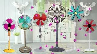 Add a Pop of Color to Your Home with Our Vibrant Fans