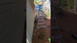 $500 stepladder? #hasegawa