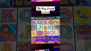 The King of Twin Win Slot is at it again!  #slots #casinos #trend #casino #trending #slot