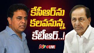 కేసీఆర్ ను కలవనున్న కేటీఆర్..! LIVE : KTR to Meet KCR | Ntv