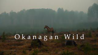 Okanagan Wild