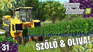 FARMING SIMULATOR 25 LIVE #31 - SZŐLŐ & OLIVA! Ültetés, gondozás! Új frissítés!