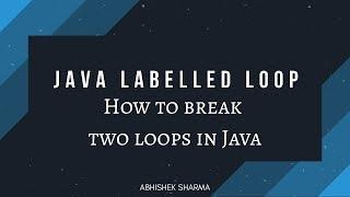 Java Labelled For Loop | How to break 2 loops in java