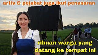 Makin VIRAL Sawah KDM kang dedi mulyadi Jadi  Wisata Gratis || Lembur Pakuan