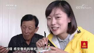 《远方的家》 20201006 最美是家乡——黑龙江 他乡是故乡| CCTV中文国际