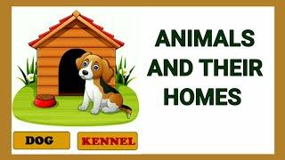 Animals and their homes | Animals home | Home of animals | Animal homes | Animal shelter for kids