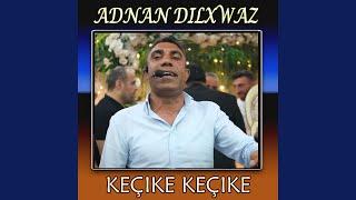 Kecike Kecike