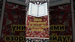 Смыслы Корана.  #коран #ислам #истина #вера #бог #смерть #господь #напоминание #смыслжизни