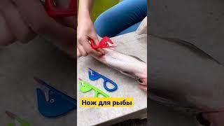 Нож для чистки рыбы | Fish cleaning knife