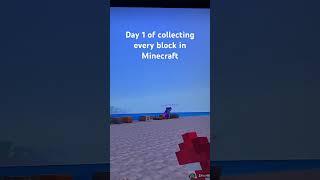 Minecraft COLLECTING EVERY SINGLE BLOCK! AND EVERY SINGLE ITEM🪄