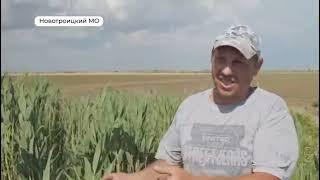 Генический район.Новотроицкое.Проблемы с водой.
