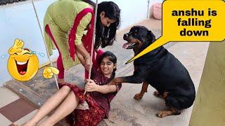 Anshu is falling down because of my dog || funny dog videos.