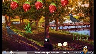 Escape from Forest Raven walkthrough Games2Rule G2R.