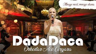 Dada Daca & orkestar Ace Cergara - Mnogo noci mnogo dana (Cover 2024)