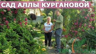 Прогулка по саду в Ленобласти хосты, розы, гортензии, хвойные