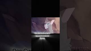 Так та Синьку жалко #котывоители #warriorcats #рек #shorts