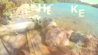 AT THE LAKE - TEASER