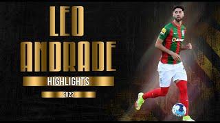 LEO ANDRADE - DEFENDER - MARITIMO - PT - 2022