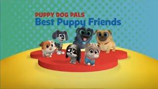 Disney Junior USA Continuity March 13, 2021 @continuitycommentary