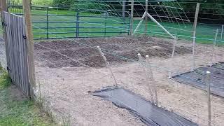 garden after most of it has been planted
