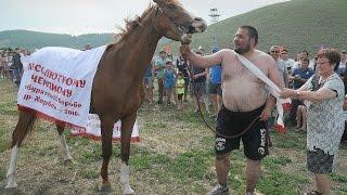 Михаил Шатханов Бурятская национальная борьба Сур-Харбан 2016