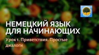 Немецкий язык. Урок 1: приветствия, простые диалоги.