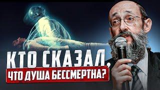 Кто сказал что душа бессмертна? Рав Ашер Кушнир