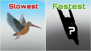 What’s The Fastest Flying Bird? (Roblox Feather Family)