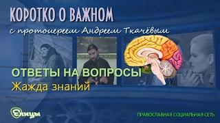 Жажда знаний. о. Андрей Ткачев. Ответы на вопросы пользователей "Елицы"