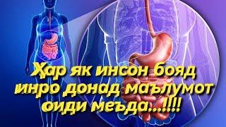 Маълумотҳои зарури ва бениҳоят муҳим оиди меъда...!!!