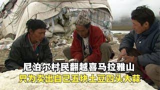 尼泊尔村民翻越喜马拉雅山，只为卖出自己的土豆大蒜，用来换食盐