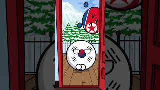 Happy New Year #countryballs