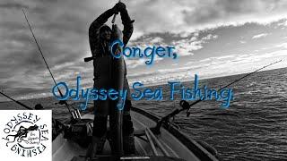 Conger | Odyssey Sea Fishing UK.