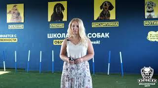 Отзыв о дрессировке | Немецкая Овчарка Тор | Школа для собак DRED | Дрессировка собак Украина