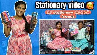మీరు అడుగుతున్న మా stationary video చేసినం friends || nenu mi ammulu stationary video