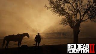 Как установить мод на графику Visual Redemption в Red Dead Redemption 2! РЕАЛИСТИЧНАЯ ГРАФИКА RDR 2