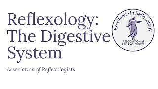 Reflexology: The Digestive System