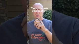Learn how to identify harmless snakes! Click lower right corner for complete episode!