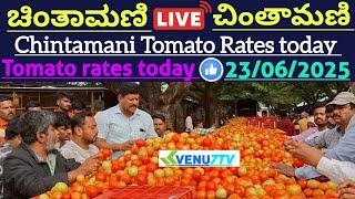 #23/06/2025 #today Chintamani tomato rates #Chintamani tomato market rates #tomato rates #Venu7tv