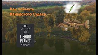 Как поймать Канадского Судака в Fishing Planet?