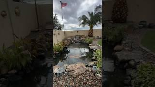 Cleaning out a Pond in Arizona!