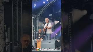 Andrew Murphy @ Turnpike Reggae Festival 2024