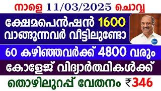 പെൻഷൻ 1600 കിട്ടുന്നവർക്ക് 4800വരും|തുക കൂട്ടും കുടിശിക നൽകും|സ്കോളർഷിപ്പ്|Kerala Pension new update