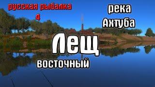 Русская рыбалка 4(рр4/rf4) - река Ахтуба. Лещ восточный.