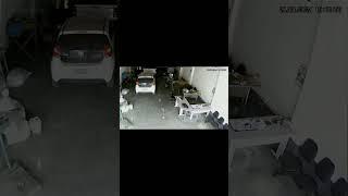 El impacto laboral  #shorts   #AccidenteInformático #NiñoVsComputadora #techfail #short